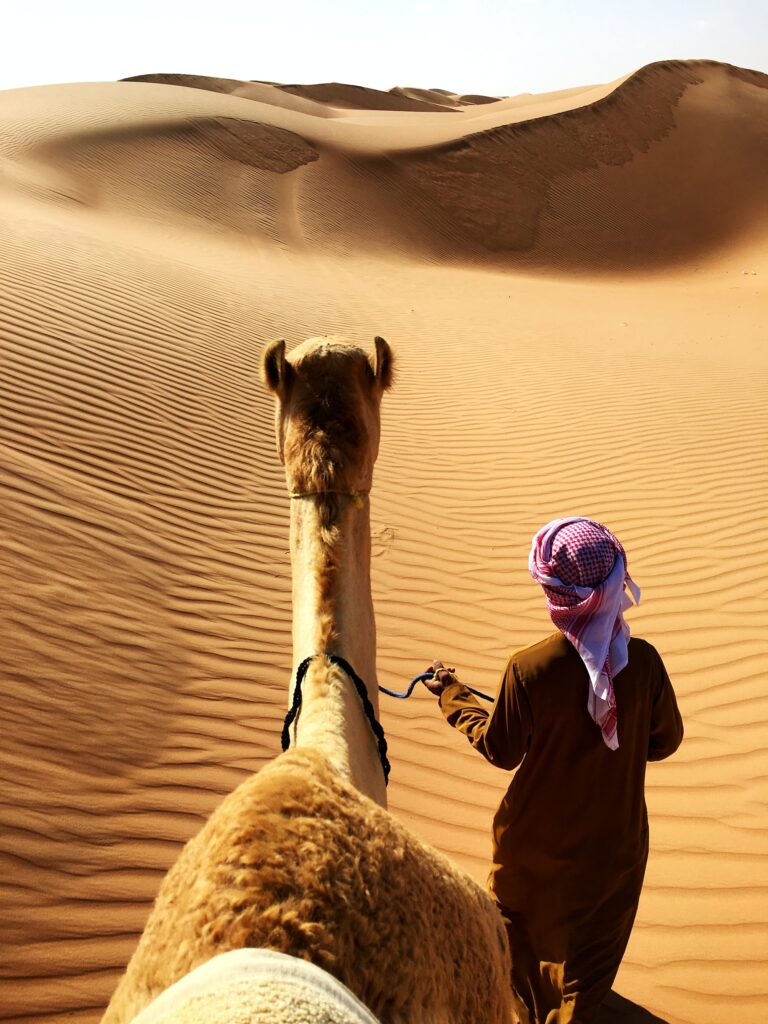 desert safari